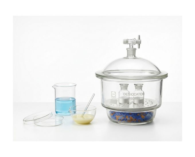 Laboratory Dishes and Dessicator